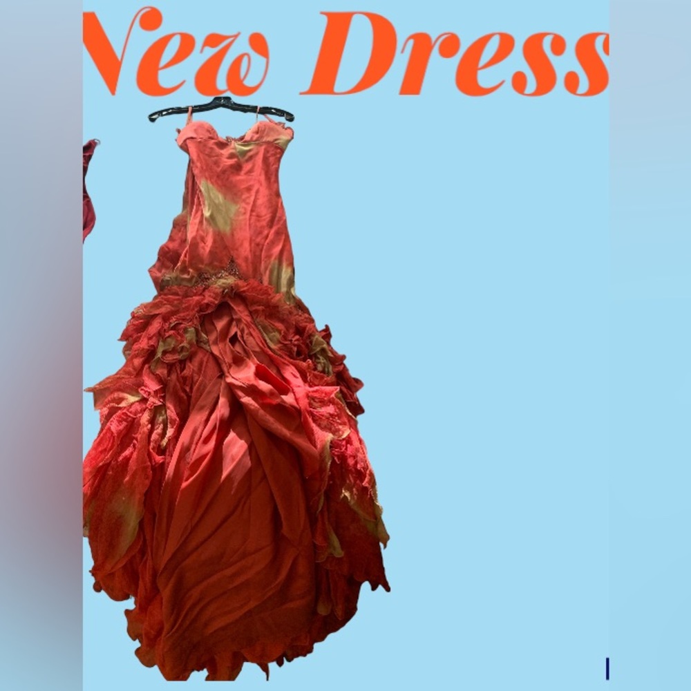 One of the most exquisite, elegant dress, I have seen in my lifetime